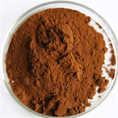Chaga Extract 차가 추출물