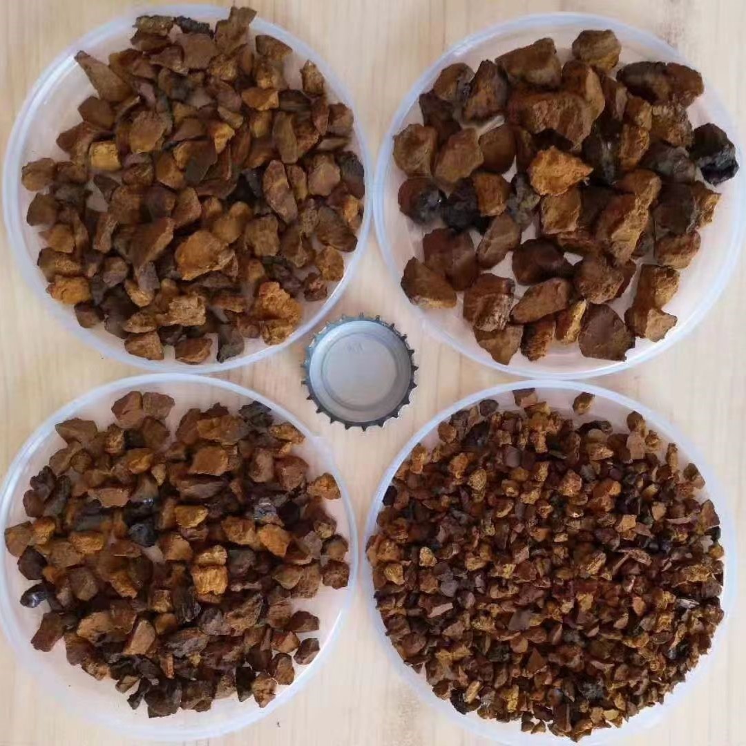 Chaga Mushroom Extract Powder Wholesale 차가 버섯 추출물 분말 도매