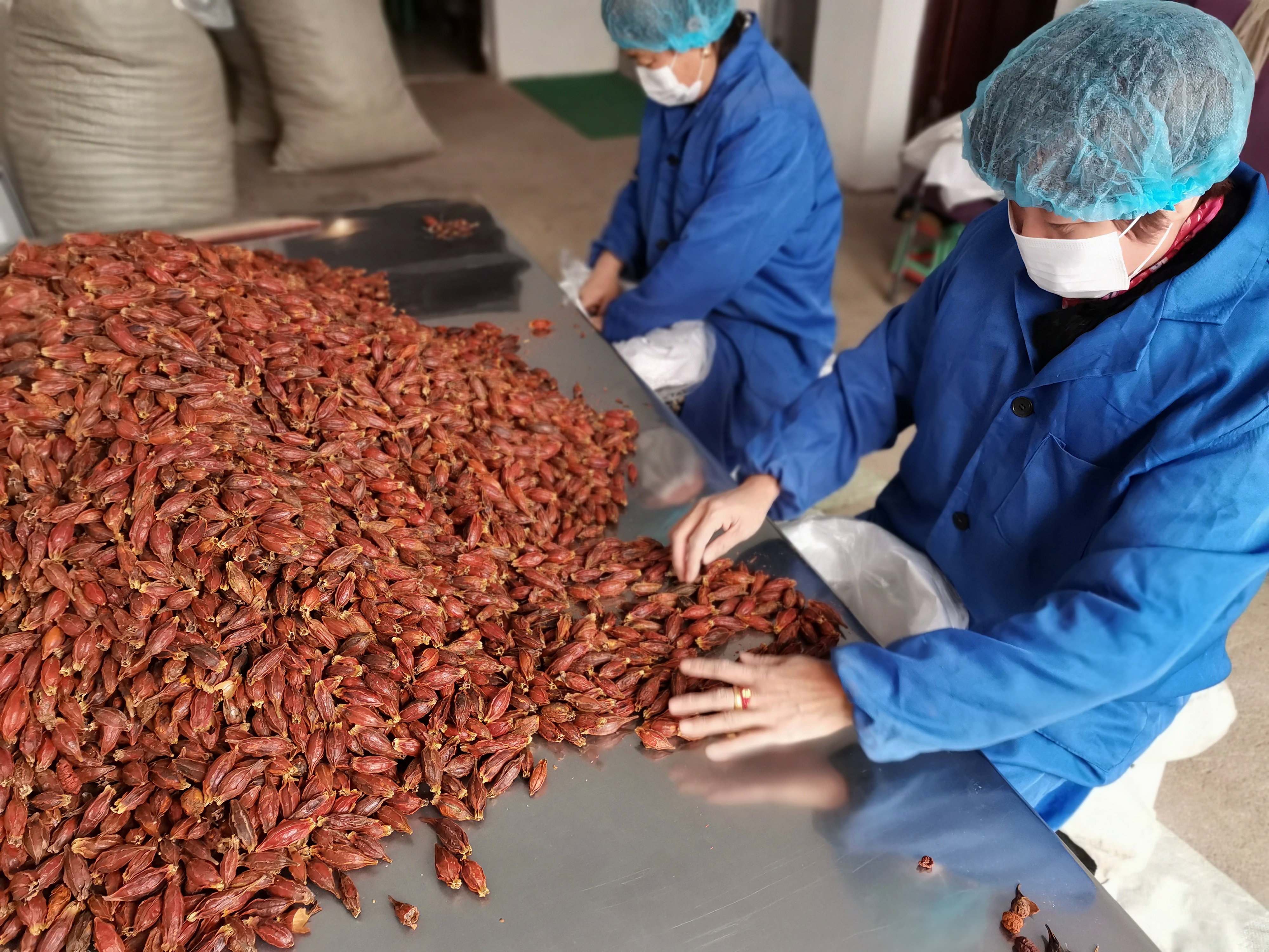 Fructus Gardeniae Fruit Supplier Fructus Gardeniae 과일 공급업체