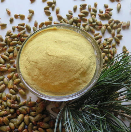 Pollen powder 꽃가루 가루