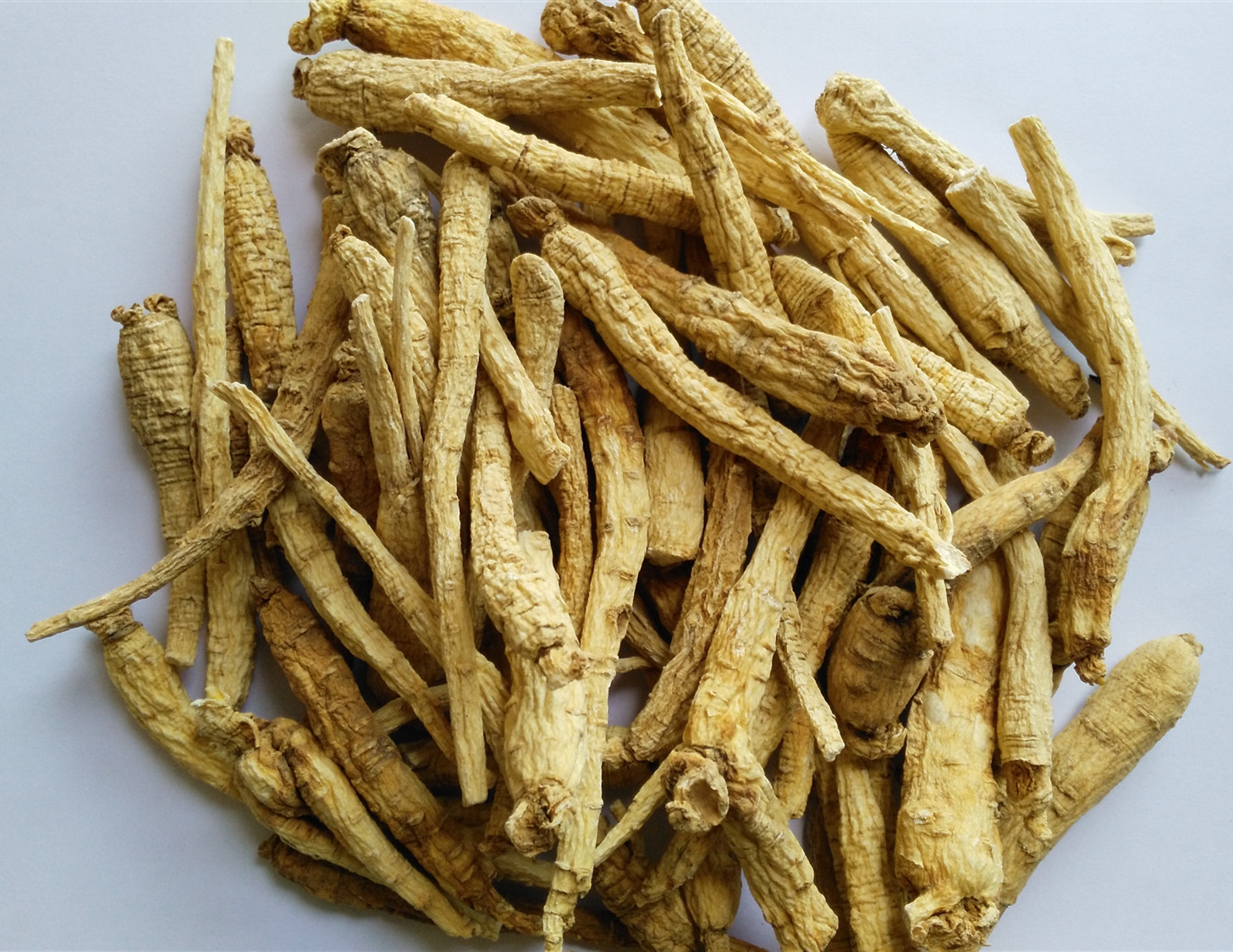 Ginseng Root Powder Price 인삼뿌리분말 가격