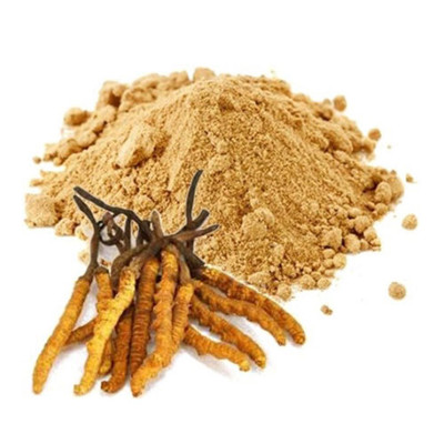 Cordyceps 추출물의 이점 및 건강 효과 탐색