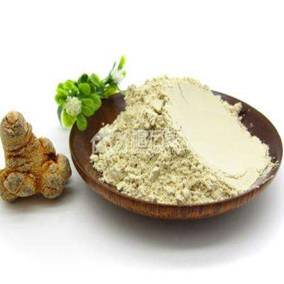 Notoginseng 뿌리 Powder-NatureChoice