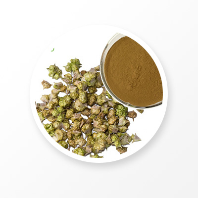 Tribulus Terrestris 추출물 