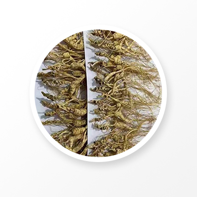 산삼뿌리, 중국산 'Linxia Ginseng'