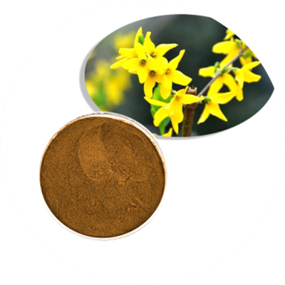 세인트 존스 워트 추출물 