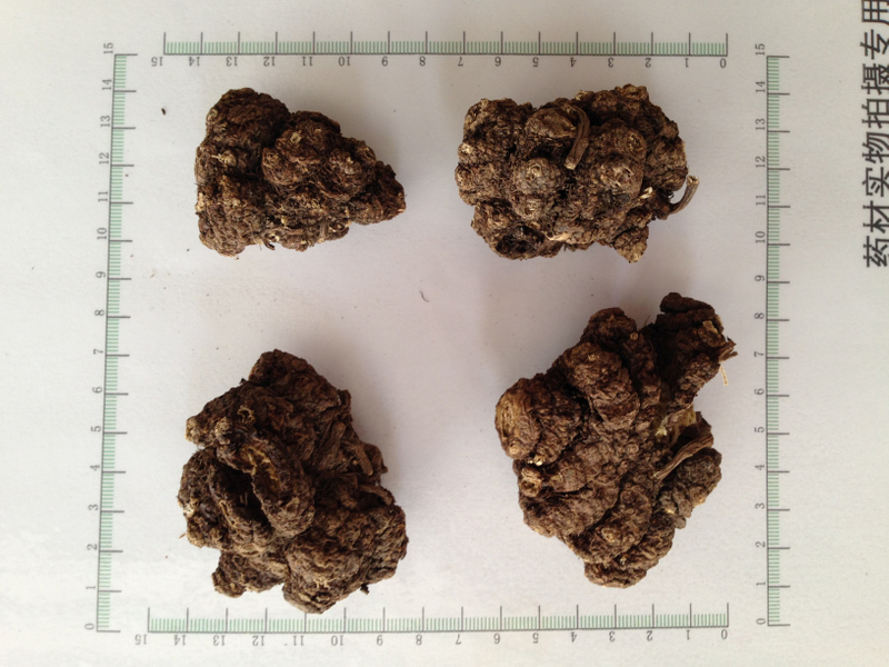 Chuanxiong Rhizoma