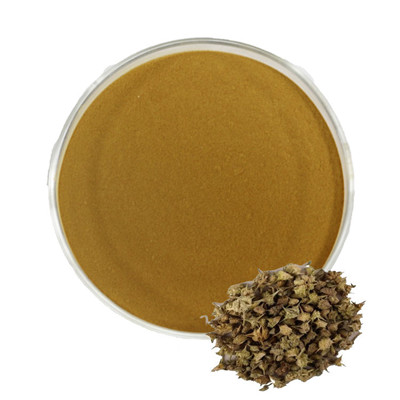 Tribulus Terrestris 추출물 