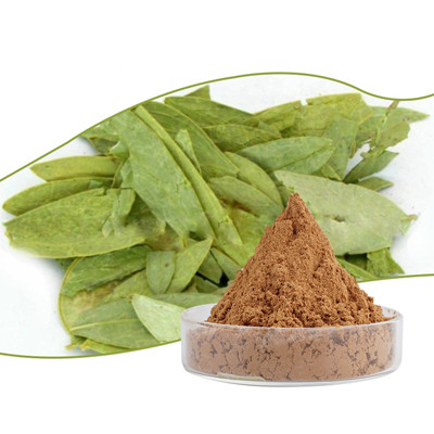 세나 잎 추출물 