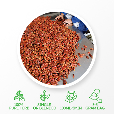 프럭투스 치자나무 차 디톡스 차