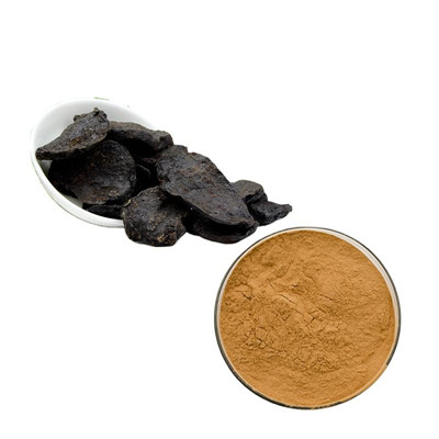 포티 뿌리 추출물 