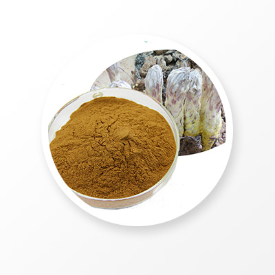 Cistanche Deserticola 추출물 
