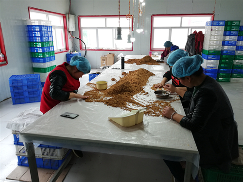 유기농 레드 데이트