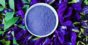 순수한 초본 분말