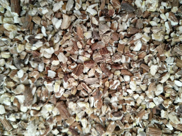 유기농 민들레 뿌리 