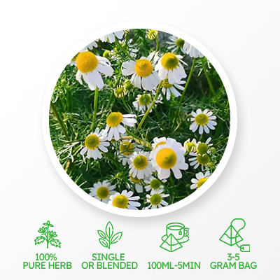 카모마일 슬리밍 티