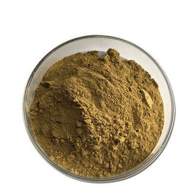 호색한 염소 잡초 추출물