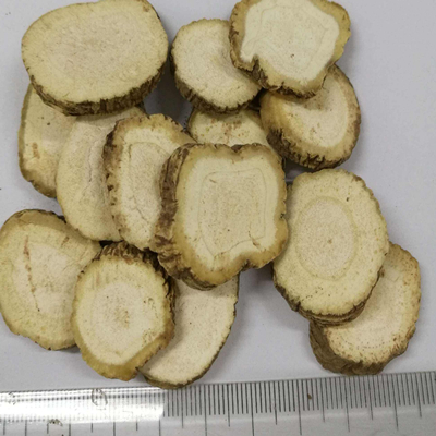 Angelicae Dahuricae 기수