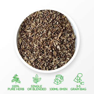 차이니즈 안젤리카 티백 