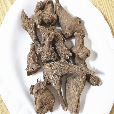 Atractylodes Macrocephala Koidz