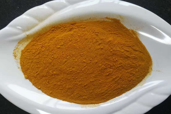 심황 뿌리 분말