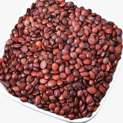 정액 Ziziphi Spinosae