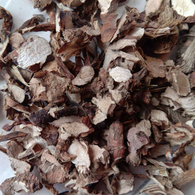 리조마 아코리 타타리노위이 