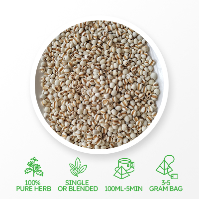 코익스씨드 화이트닝티