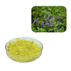 Baical Skullcap 뿌리 추출물