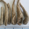 Angelicae Dahuricae 기수