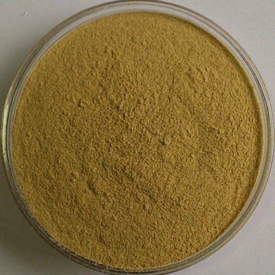 유기농 황기 뿌리 추출물