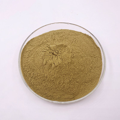 일반 골든롭 추출물 