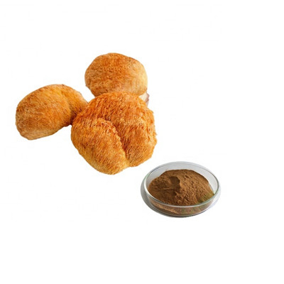 다당류 Hericium Erinaceus 추출물